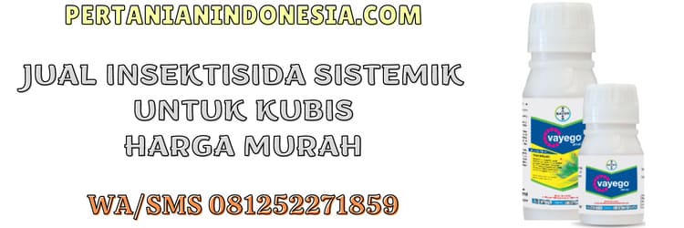 jual,jual insektisida,jual insektisida sistemik untuk kubis,murah,pertanian indonesia